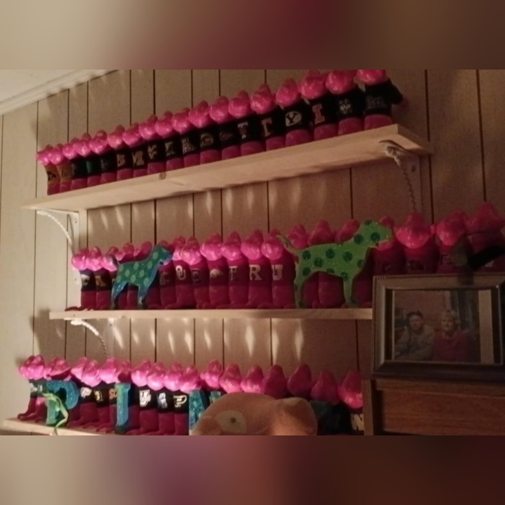NFS JUST SHOWING My tiny pink dog collection ❤️ 😍